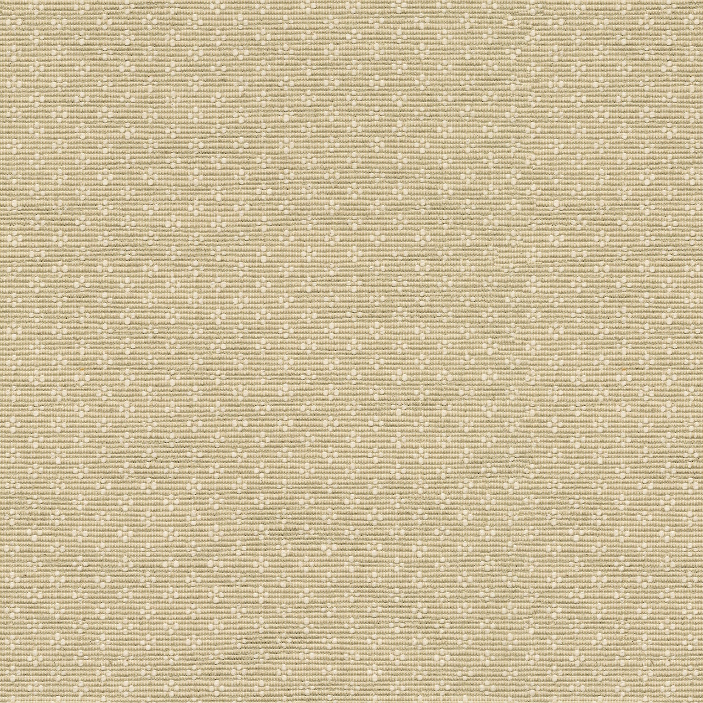 TRH2192 Fabric