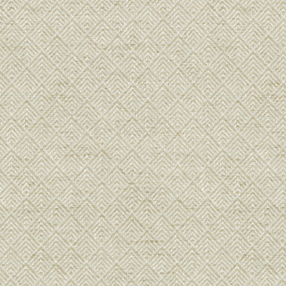 TRH2457 Fabric