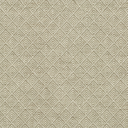 TRH2457 Fabric