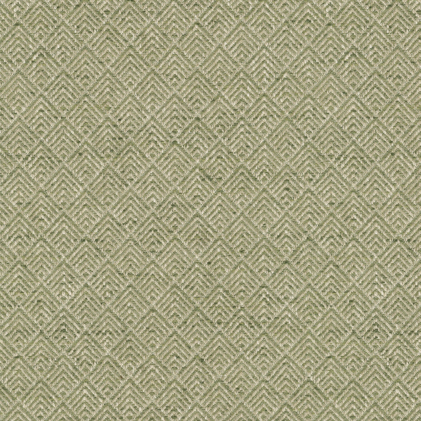 TRH2457 Fabric