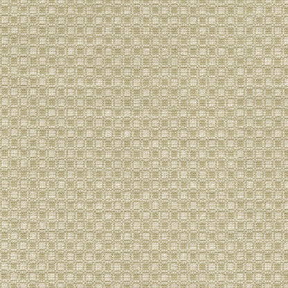 TRH2894 Fabric