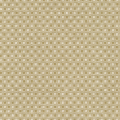 TRH2894 Fabric