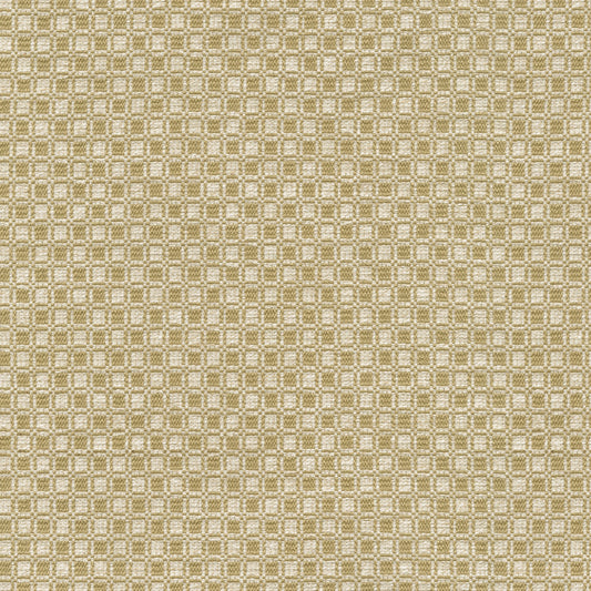 TRH2894 Fabric