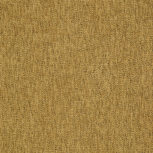 TRH2322 Fabric