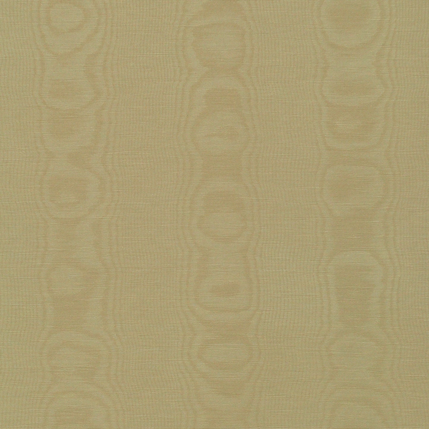 TRH2819 Fabric
