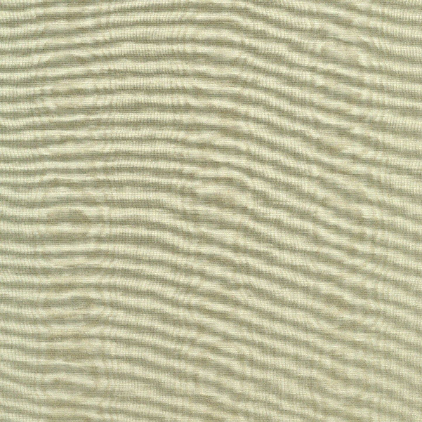 TRH2819 Fabric