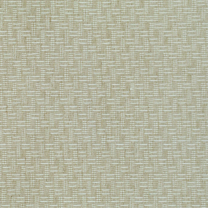 TRH2318 Fabric