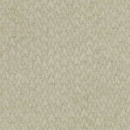 TRH2841 Fabric