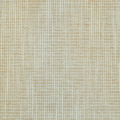 TRH2923 Fabric