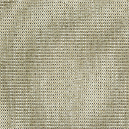 TRH2923 Fabric