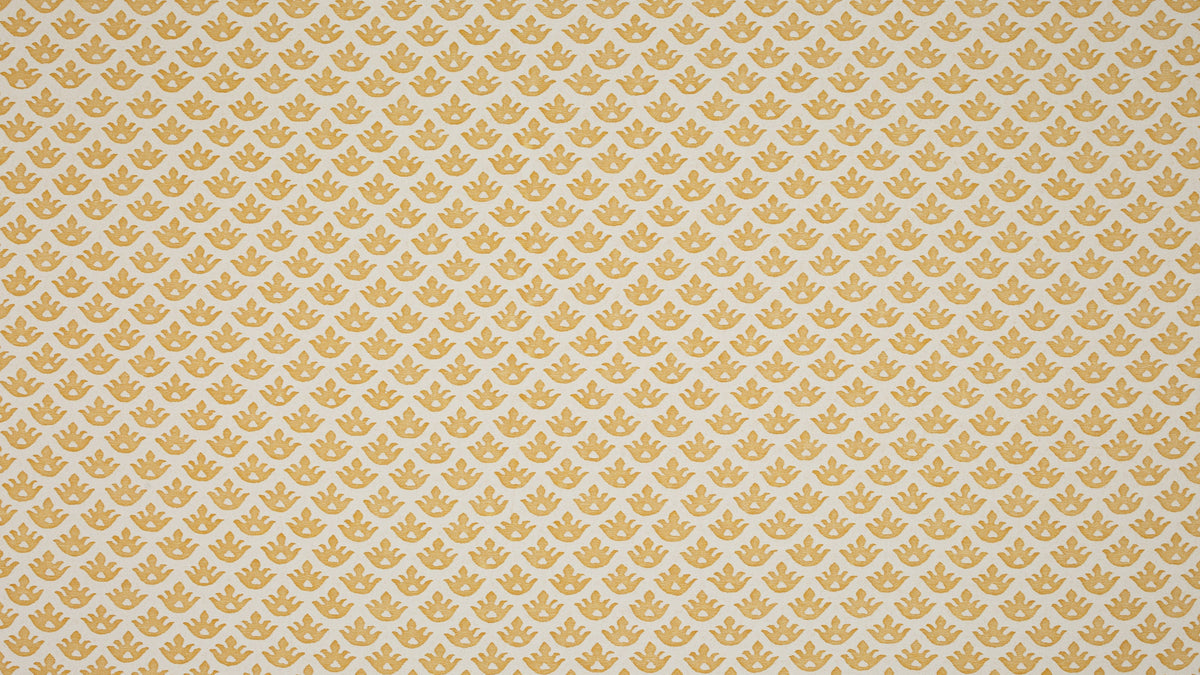 Canestrelli Yellow & white
