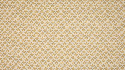 Canestrelli Yellow & white