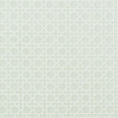 TRH2427 Fabric