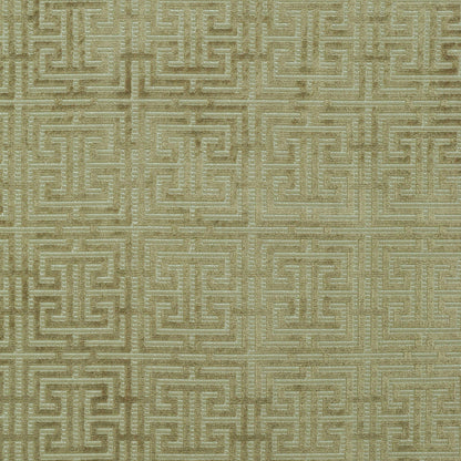 TRH2146 Fabric