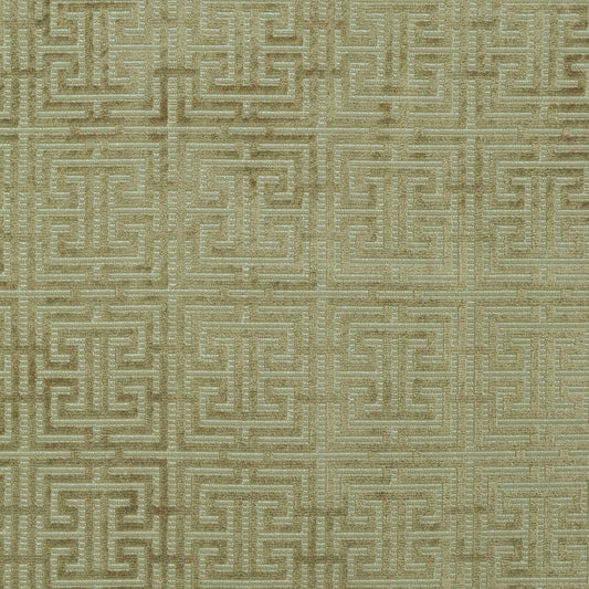 TRH2146 Fabric