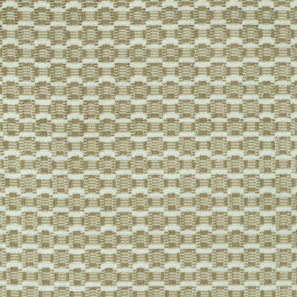 TRH2854 Fabric