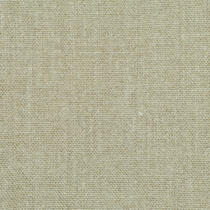TRH2399 Fabric