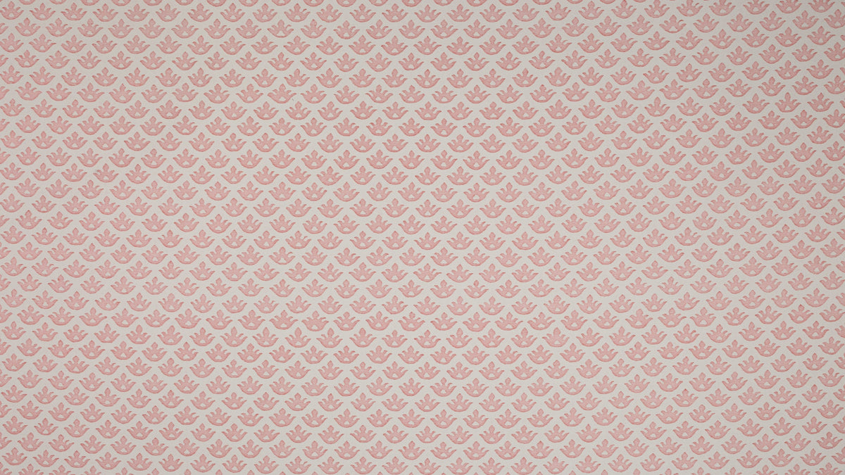 Canestrelli Powder pink & white
