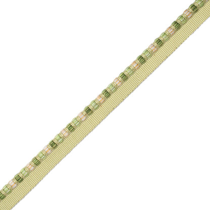 1/4" Kensington Cordedge Trim by Samuel & Sons in Meadow
