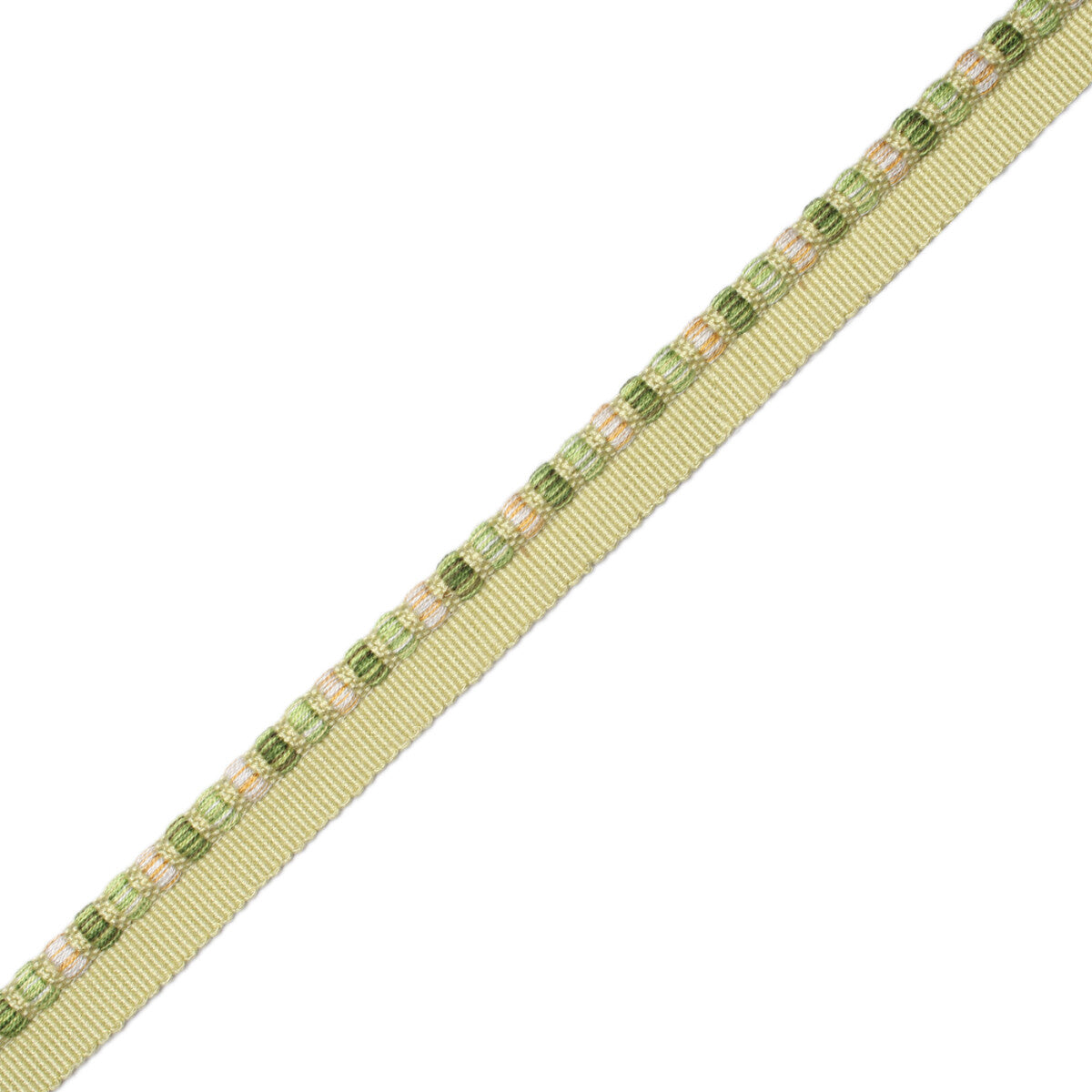 1/4" Kensington Cordedge Trim by Samuel & Sons in Meadow
