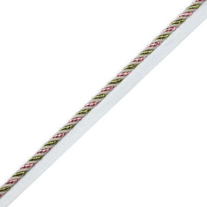 1/4" Aurelia Cord With Tape Trim by Samuel & Sons in Fleur