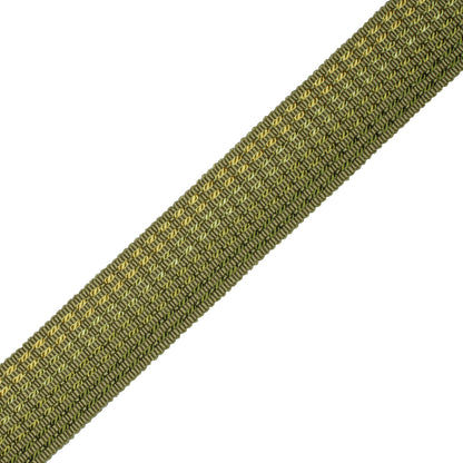 1.25" Aurelia Ombré Border Trim by Samuel & Sons in Apple Green