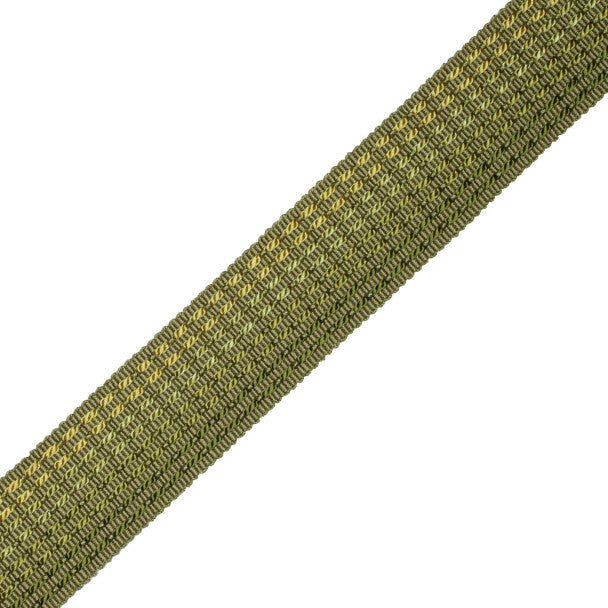 1.25" Aurelia Ombré Border Trim by Samuel & Sons in Apple Green