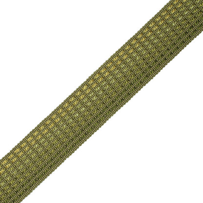 1.25" Aurelia Ombré Border Trim by Samuel & Sons in Apple Green