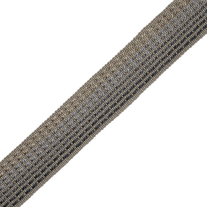 1.25" Aurelia Ombré Border Trim by Samuel & Sons in Mica