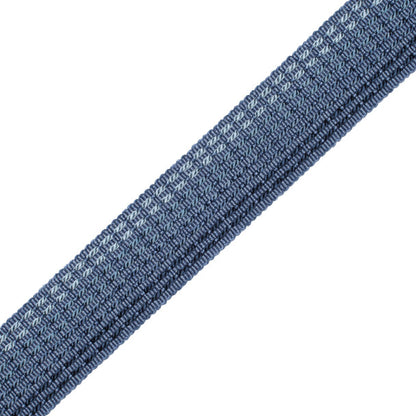 1.25" Aurelia Ombré Border Trim by Samuel & Sons in Sapphire