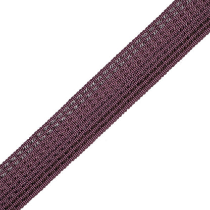 1.25" Aurelia Ombré Border Trim by Samuel & Sons in Amethyst