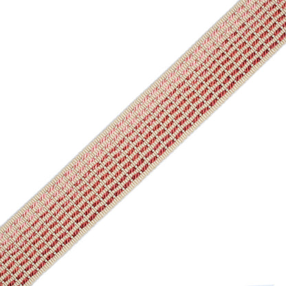 1.25" Aurelia Ombré Border Trim by Samuel & Sons in Shell