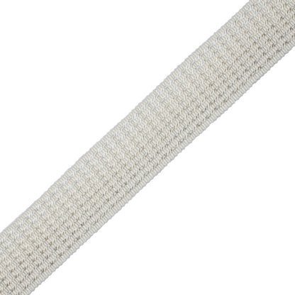 1.25" Aurelia Ombré Border Trim by Samuel & Sons in Ivory
