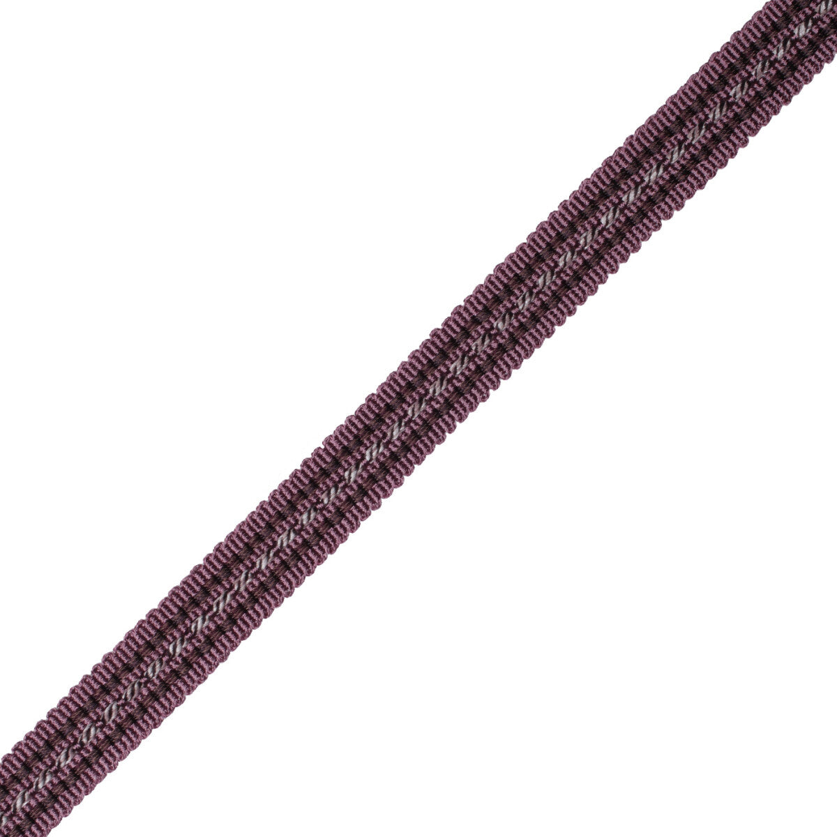 1/2" Aurelia Gimp Trim by Samuel & Sons in Amethyst
