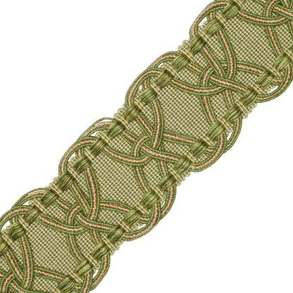 2.5" Kensington Braid Trim by Samuel & Sons in Meadow