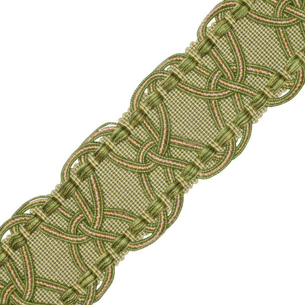 2.5" Kensington Braid Trim by Samuel & Sons in Meadow
