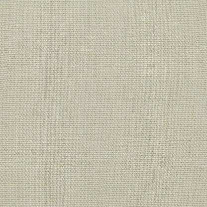 TRH2399 Fabric