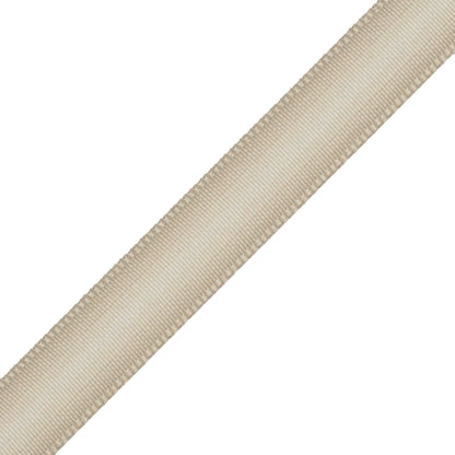 Strata Ombré Border Trim by Samuel & Sons in Bisque