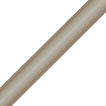 Strata Ombré Border Trim by Samuel & Sons in Almond