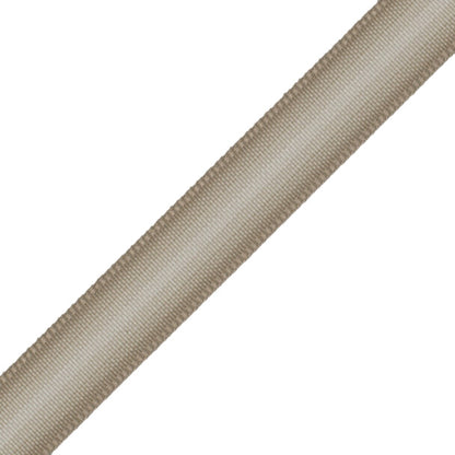 Strata Ombré Border Trim by Samuel & Sons in Almond