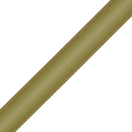 Strata Ombré Border Trim by Samuel & Sons in Pear