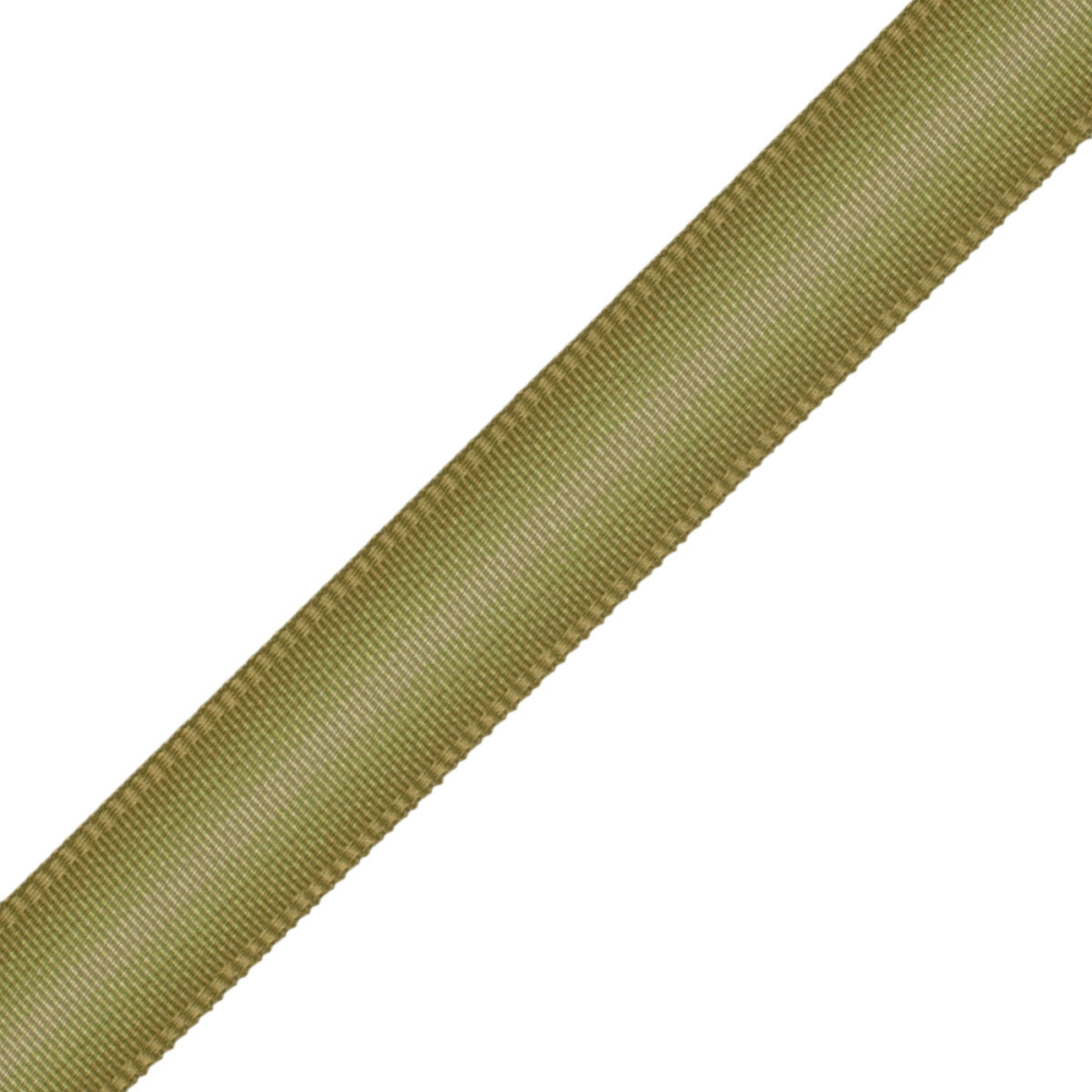 Strata Ombré Border Trim by Samuel & Sons in Pear