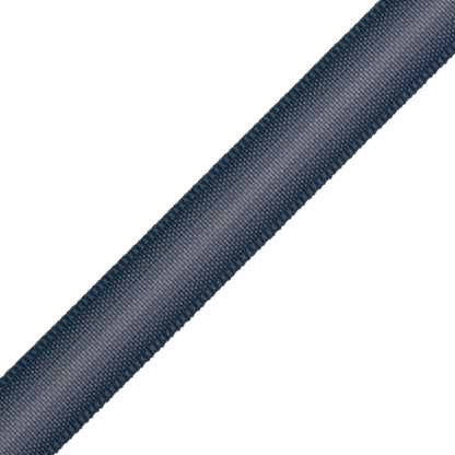 Strata Ombré Border Trim by Samuel & Sons in Denim