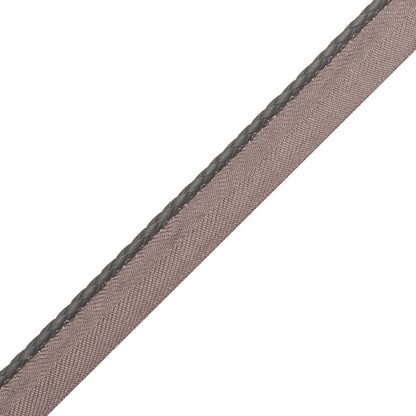 Braided Leather Cord With Tape Trim by Samuel & Sons in Steel