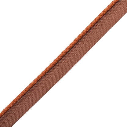 Braided Leather Cord With Tape Trim by Samuel & Sons in Cinnamon