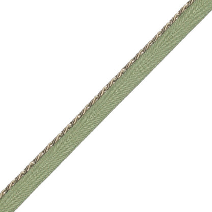 1/8" (3 Mm) Palais Cord With Tape Trim by Samuel & Sons in Vert