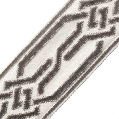 Portillon Épinglé Velvet Border Trim by Samuel & Sons in Slate