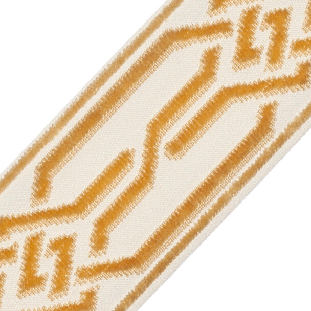 Portillon Épinglé Velvet Border Trim by Samuel & Sons in Ingot