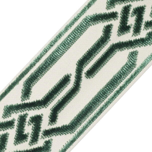 Portillon Épinglé Velvet Border Trim by Samuel & Sons in Bottle