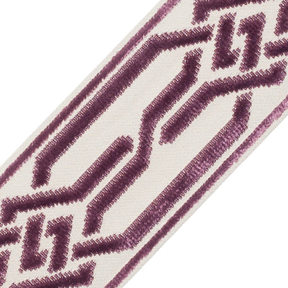 Portillon Épinglé Velvet Border Trim by Samuel & Sons in Aubergine